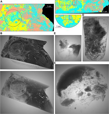 Multi-Scale X-Ray Computed Tomography Analysis to Aid Automated Mineralogy in Ore Geology Research